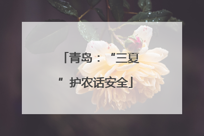 青岛：“三夏”护农话安全
