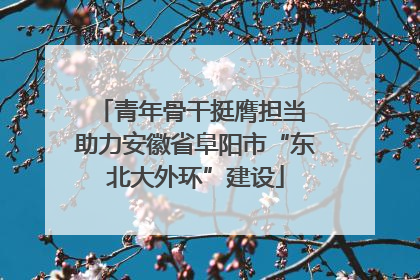青年骨干挺膺担当 助力安徽省阜阳市“东北大外环”建设
