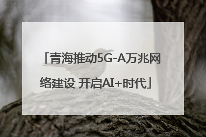 青海推动5G-A万兆网络建设 开启AI+时代