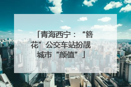青海西宁：“簪花”公交车站扮靓城市“颜值”