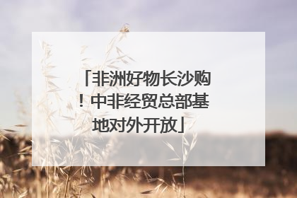 非洲好物长沙购！中非经贸总部基地对外开放