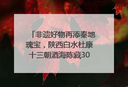 非遗好物再添秦地瑰宝，陕西白水杜康十三朝酒海陈藏30年别具一格