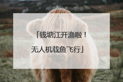 钱塘江开渔啦！无人机载鱼飞行