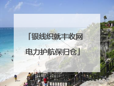 银线织就丰收网 电力护航保归仓
