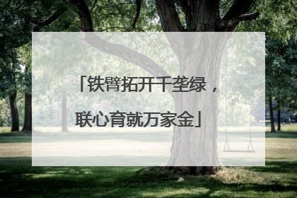 铁臂拓开千垄绿，联心育就万家金