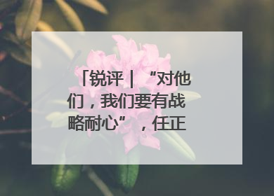 锐评｜“对他们，我们要有战略耐心”，任正非给谁提了醒