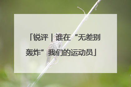 锐评｜谁在“无差别轰炸”我们的运动员