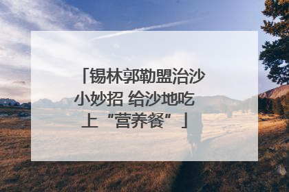 锡林郭勒盟治沙小妙招 给沙地吃上“营养餐”