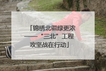 锦绣北疆绿更浓——“三北”工程攻坚战在行动