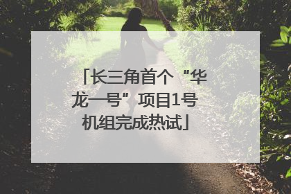 长三角首个“华龙一号”项目1号机组完成热试