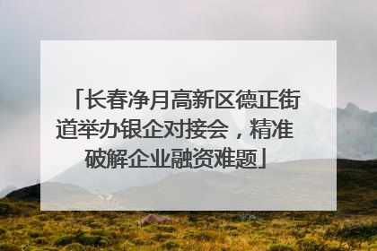 长春净月高新区德正街道举办银企对接会，精准破解企业融资难题