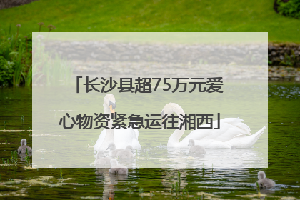 长沙县超75万元爱心物资紧急运往湘西