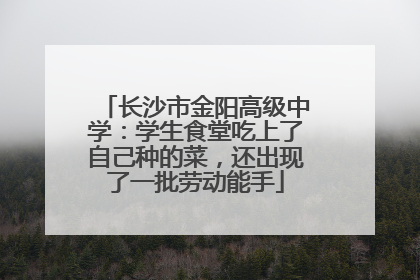 长沙市金阳高级中学：学生食堂吃上了自己种的菜，还出现了一批劳动能手