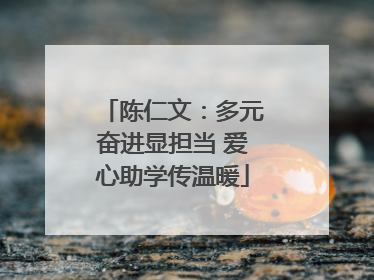 陈仁文：多元奋进显担当 爱心助学传温暖