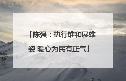 陈强：执行维和展雄姿 暖心为民有正气