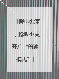 降雨要来，抢收小麦开启“倍速模式”