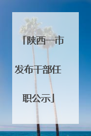 陕西一市发布干部任职公示