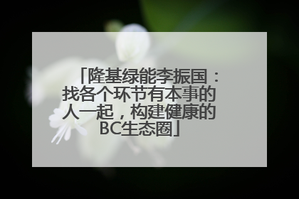 隆基绿能李振国：找各个环节有本事的人一起，构建健康的BC生态圈