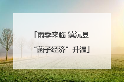 雨季来临 镇沅县“菌子经济”升温