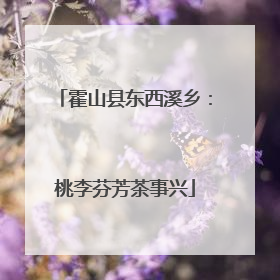 霍山县东西溪乡：桃李芬芳茶事兴