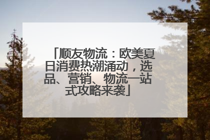顺友物流：欧美夏日消费热潮涌动，选品、营销、物流一站式攻略来袭