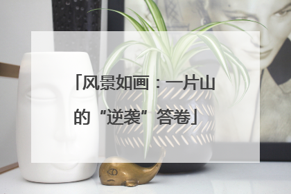 风景如画：一片山的“逆袭”答卷