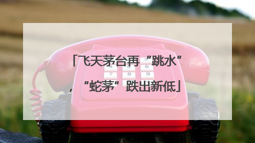 飞天茅台再“跳水”，“蛇茅”跌出新低