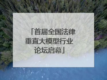 首届全国法律垂直大模型行业论坛启幕