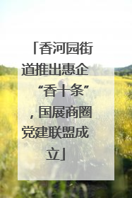 香河园街道推出惠企“香十条”，国展商圈党建联盟成立
