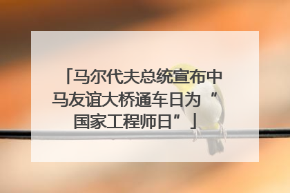马尔代夫总统宣布中马友谊大桥通车日为“国家工程师日”