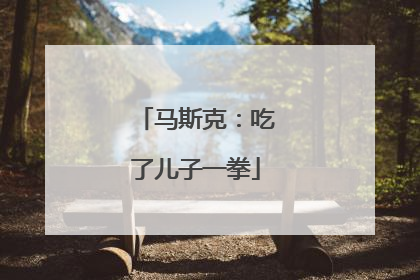 马斯克：吃了儿子一拳