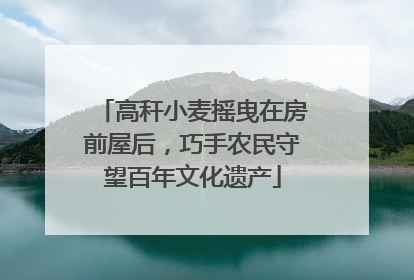 高秆小麦摇曳在房前屋后，巧手农民守望百年文化遗产