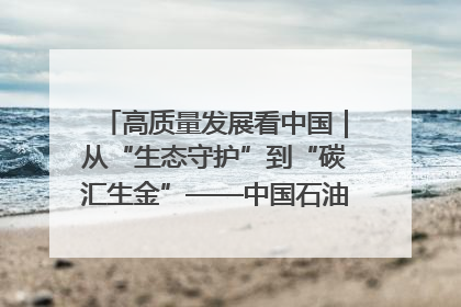 高质量发展看中国｜从“生态守护”到“碳汇生金”——中国石油大庆油田绿色蝶变