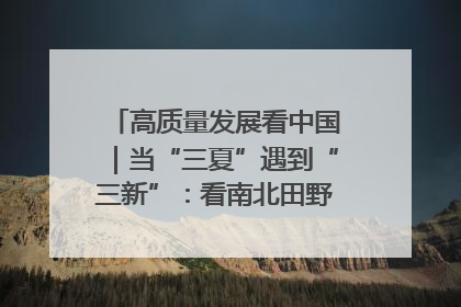 高质量发展看中国｜当“三夏”遇到“三新”：看南北田野里的科技共生记