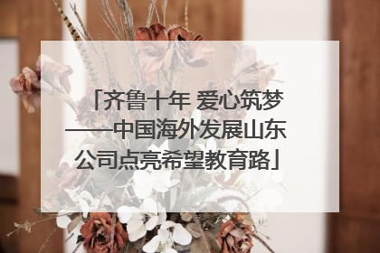 齐鲁十年 爱心筑梦——中国海外发展山东公司点亮希望教育路