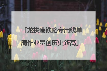 龙拱港铁路专用线单周作业量创历史新高