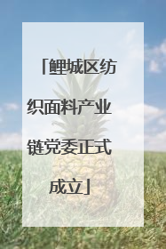 鲤城区纺织面料产业链党委正式成立