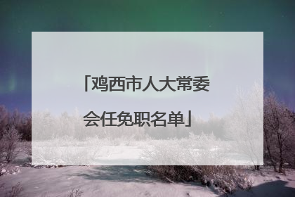 鸡西市人大常委会任免职名单