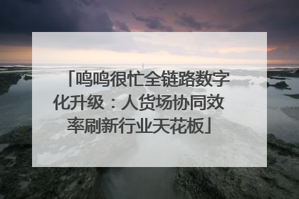 鸣鸣很忙全链路数字化升级：人货场协同效率刷新行业天花板