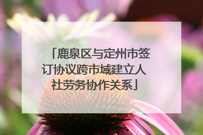 鹿泉区与定州市签订协议跨市域建立人社劳务协作关系