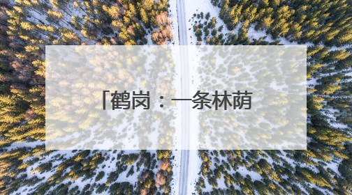 鹤岗：一条林荫大道融合“自然风光＋欧陆风情”成热门打卡地