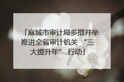 麻城市审计局多措并举推进全省审计机关 “三大提升年” 行动