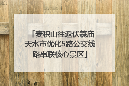 麦积山往返伏羲庙 天水市优化5路公交线路串联核心景区