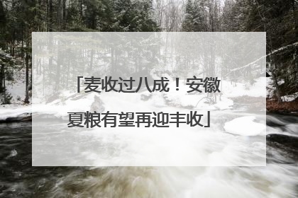 麦收过八成！安徽夏粮有望再迎丰收
