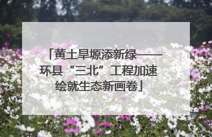 黄土旱塬添新绿——环县“三北”工程加速绘就生态新画卷