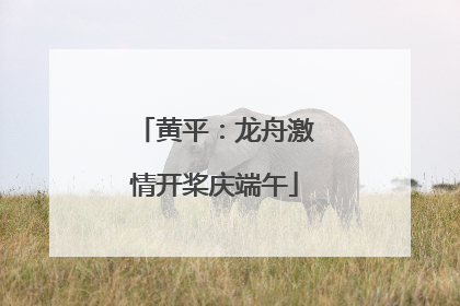 黄平：龙舟激情开桨庆端午