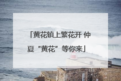 黄花镇上繁花开 仲夏“黄花”等你来