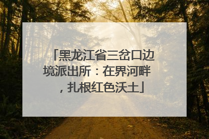 黑龙江省三岔口边境派出所：在界河畔，扎根红色沃土