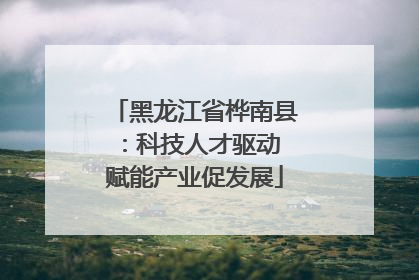 黑龙江省桦南县：科技人才驱动 赋能产业促发展