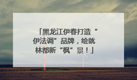 黑龙江伊春打造“伊法调”品牌，绘就林都新“枫”景！